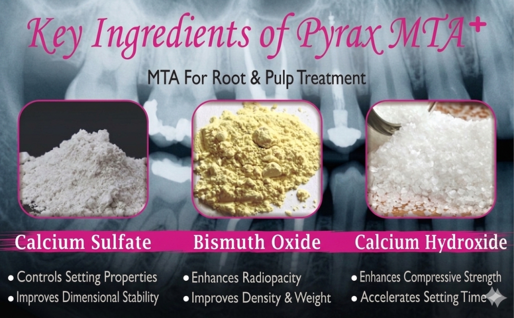 MTA FOR ROOT AND PULP TREATMENT